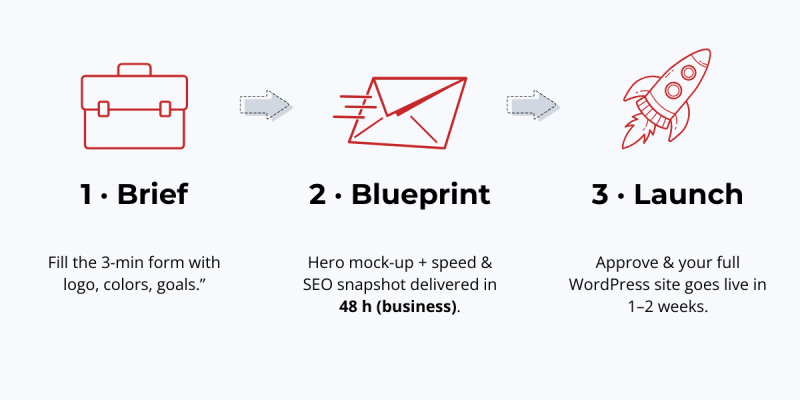 Pixel & Crafted three-step process: Brief → Blueprint in 48 business hours → Launch in 1–2 weeks, illustrated with icons.